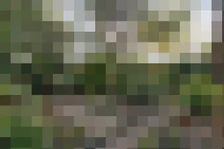 Clauslaan 10 Soest thumbnail 34