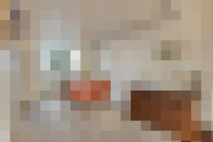 Clauslaan 10 Soest thumbnail 8