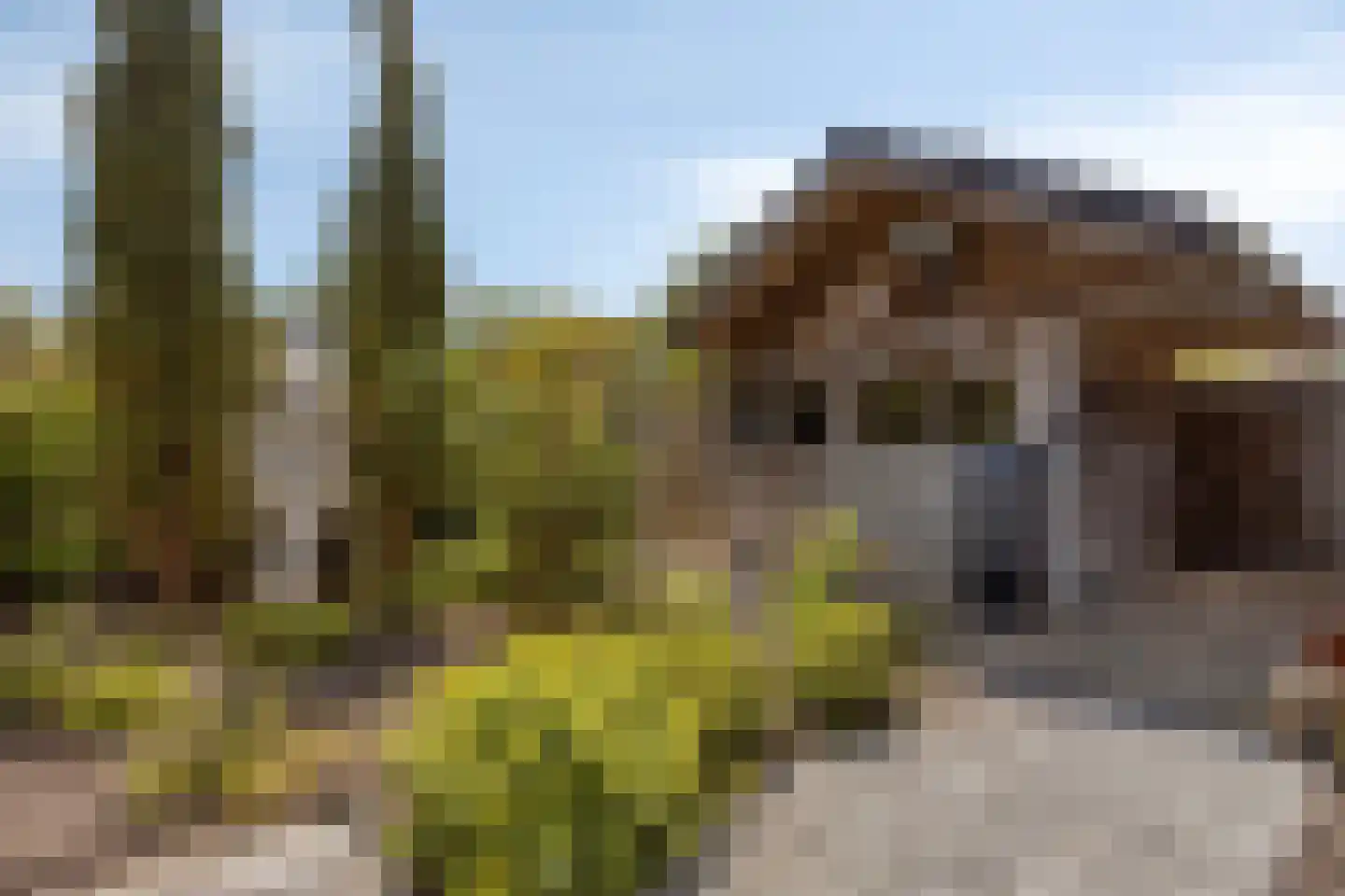 Clauslaan 21 't Veld thumbnail 35