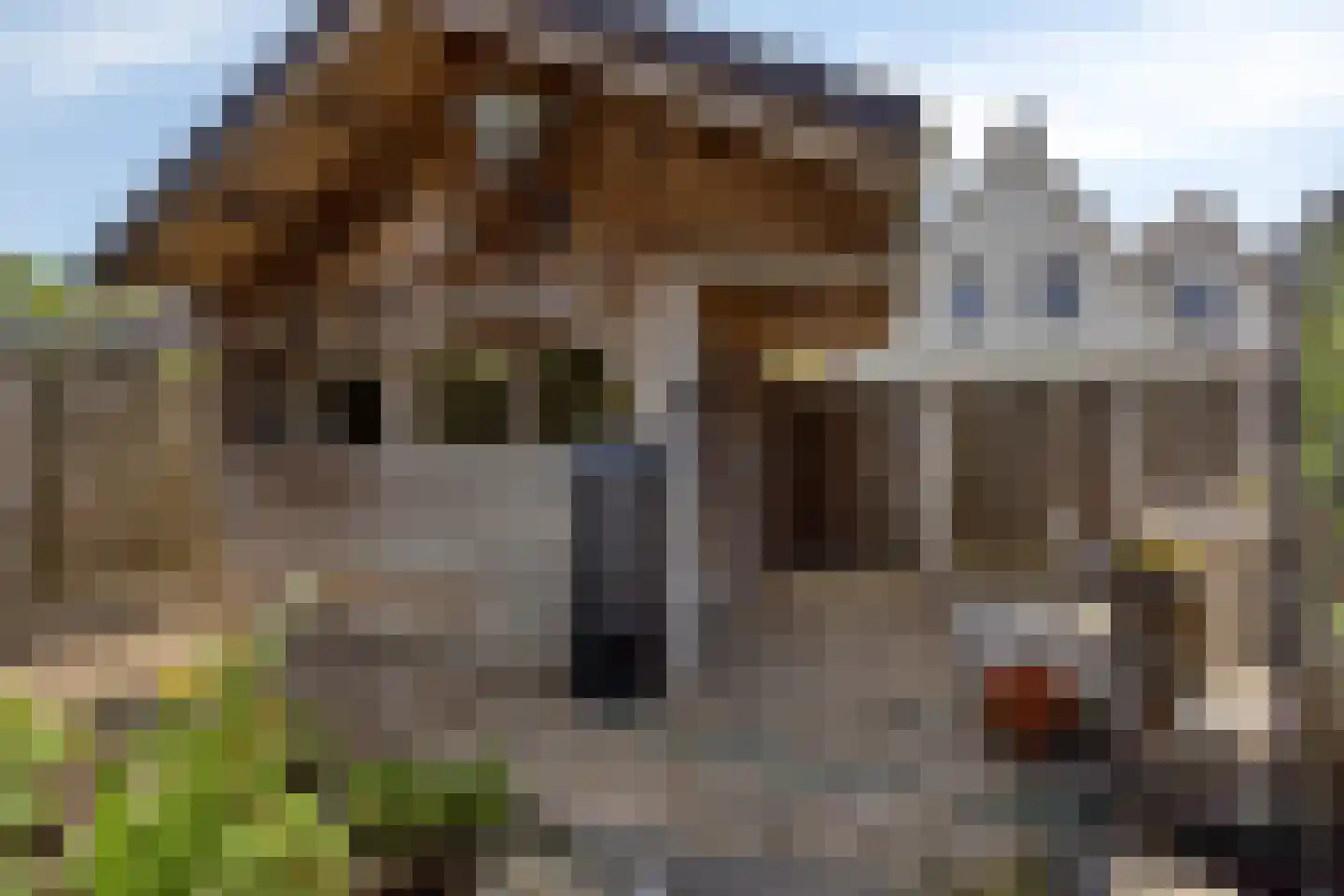 Clauslaan 21 't Veld thumbnail 37