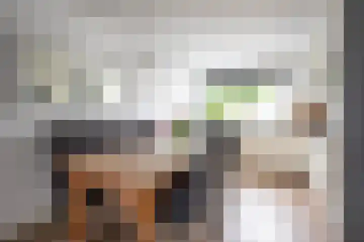 Clauslaan 3 Aalsmeer thumbnail 17