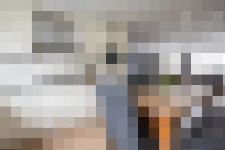 Clauslaan 3 Aalsmeer thumbnail 18