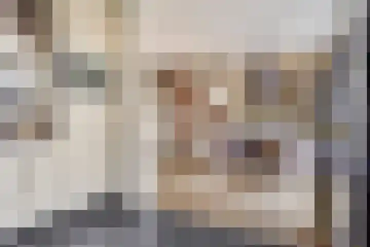 Clauslaan 3 Vlijmen thumbnail 13