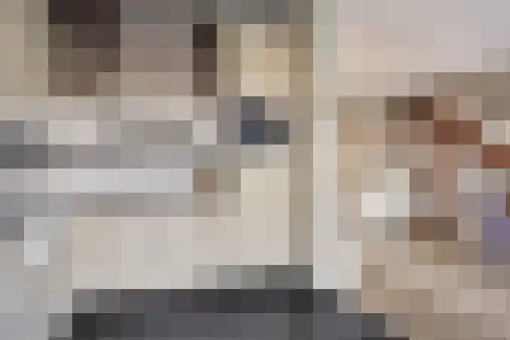 Clauslaan 3 Vlijmen thumbnail 15