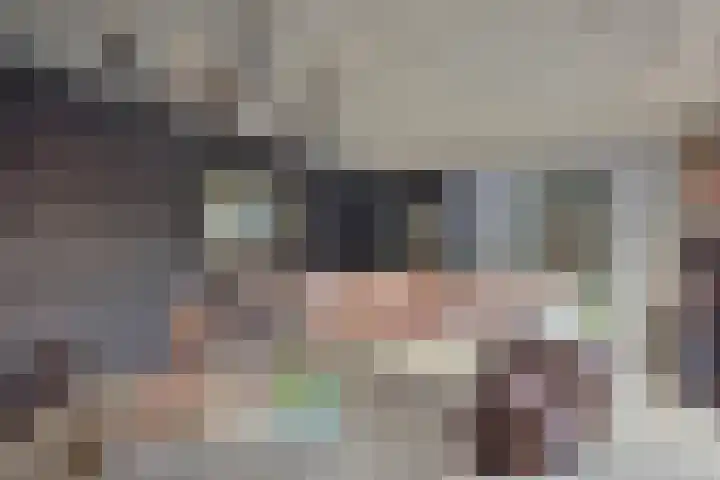 Clauslaan 3 Vlijmen thumbnail 30