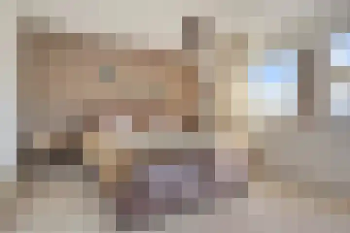 Clauslaan 3 Vlijmen thumbnail 33