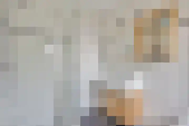 Clauslaan 3 Vlijmen thumbnail 40