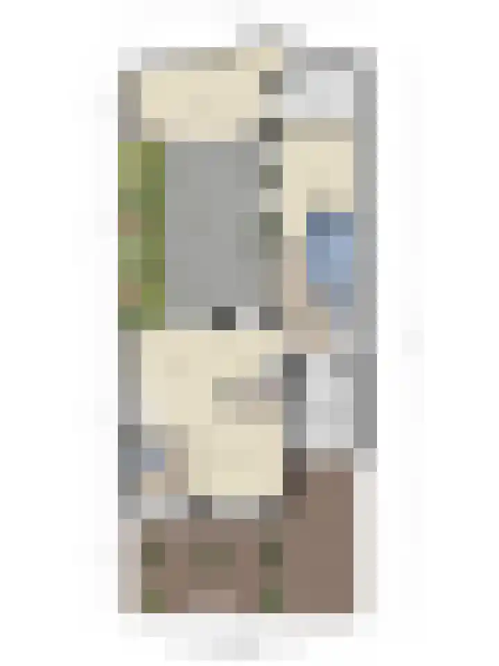 Clauslaan 3 Vlijmen thumbnail 47