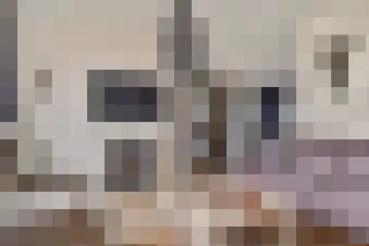 Clauslaan 3 Vlijmen thumbnail 5