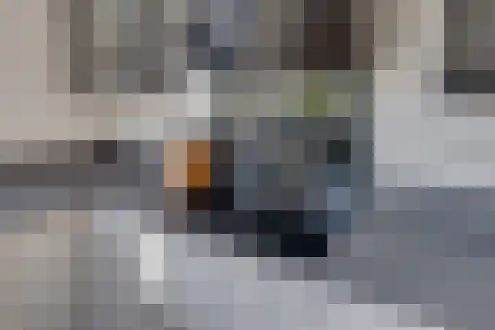 Clauslaan 43 Aalsmeer thumbnail 15