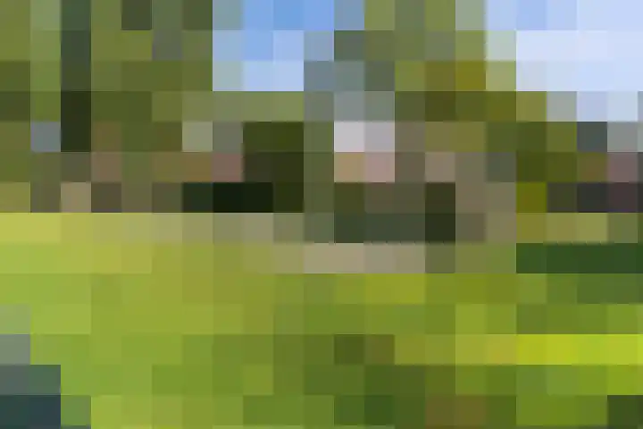Clauslaan 43 Aalsmeer thumbnail 33
