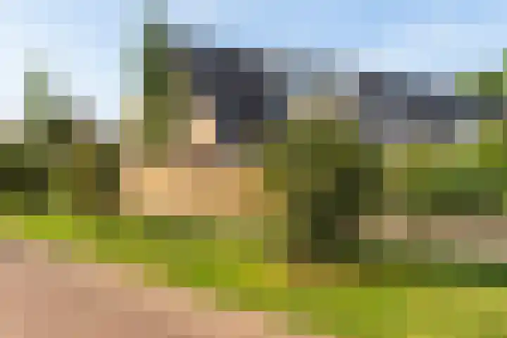 Clauslaan 43 Aalsmeer thumbnail 34