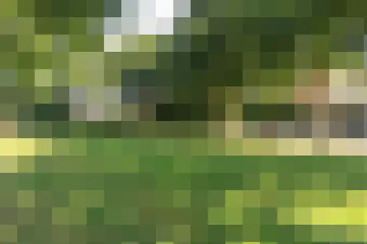 Clauslaan 43 Aalsmeer thumbnail 35
