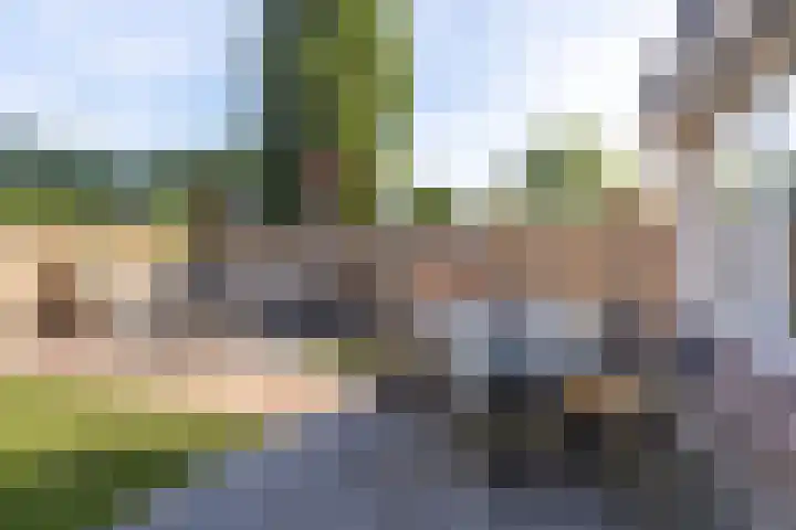 Clauslaan 43 Aalsmeer thumbnail 6