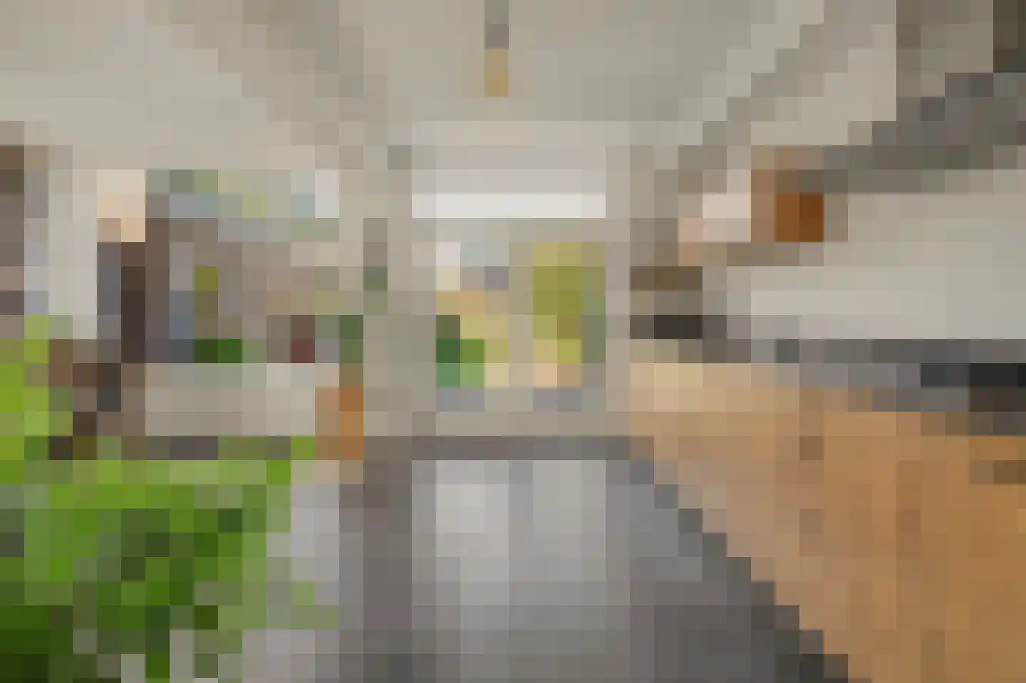 Clauslaan 5 Vlijmen thumbnail 12