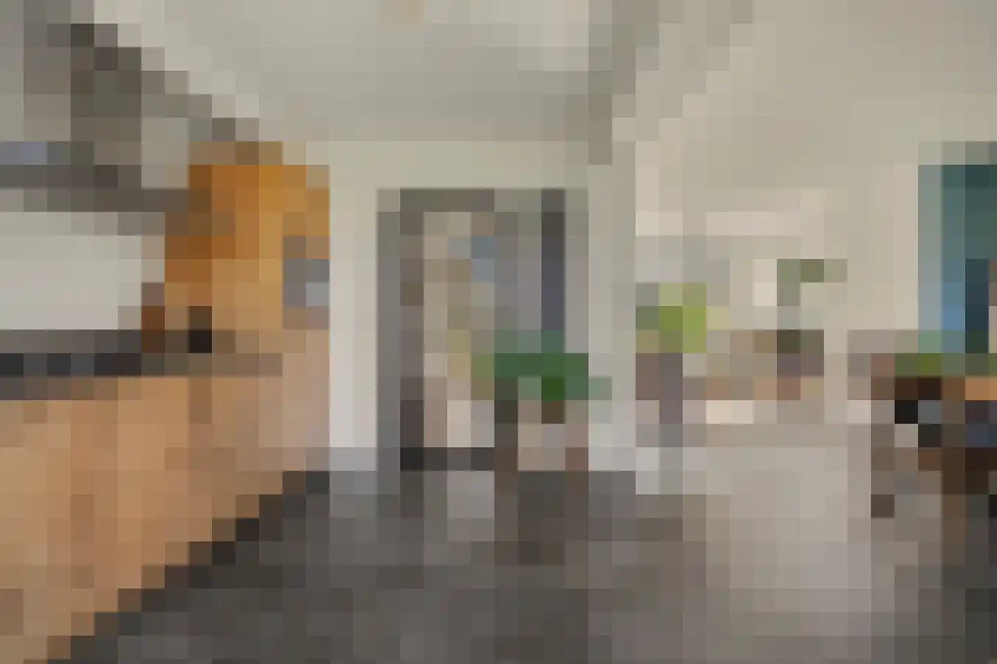Clauslaan 5 Vlijmen thumbnail 14