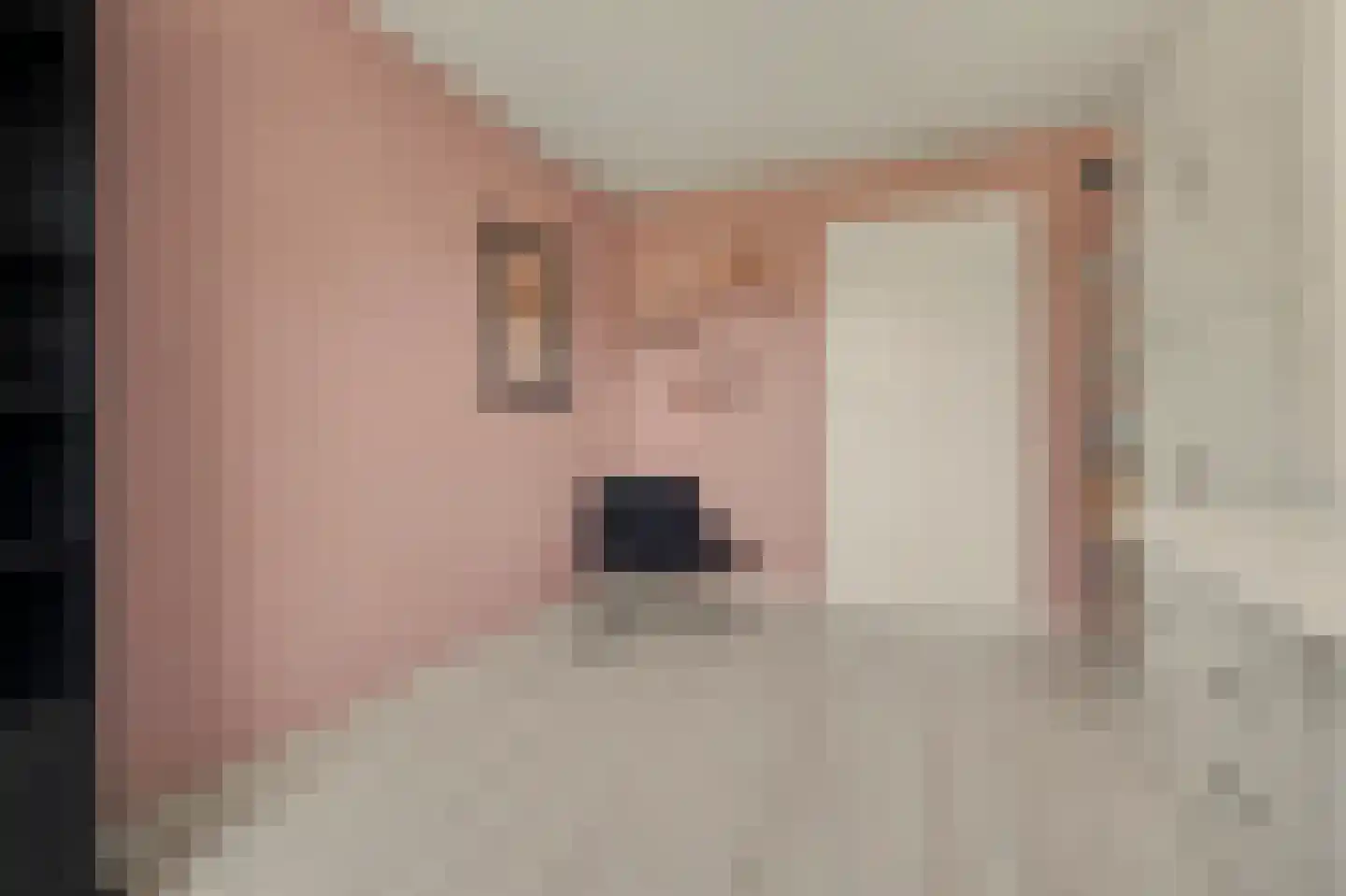 Clauslaan 5 Vlijmen thumbnail 24