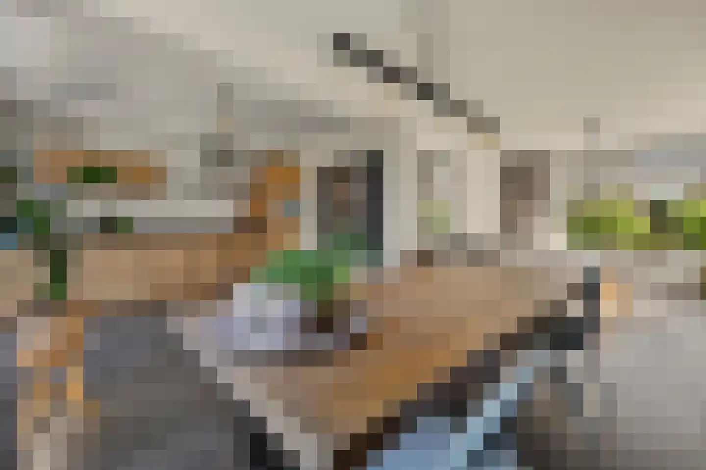 Clauslaan 5 Vlijmen thumbnail 4