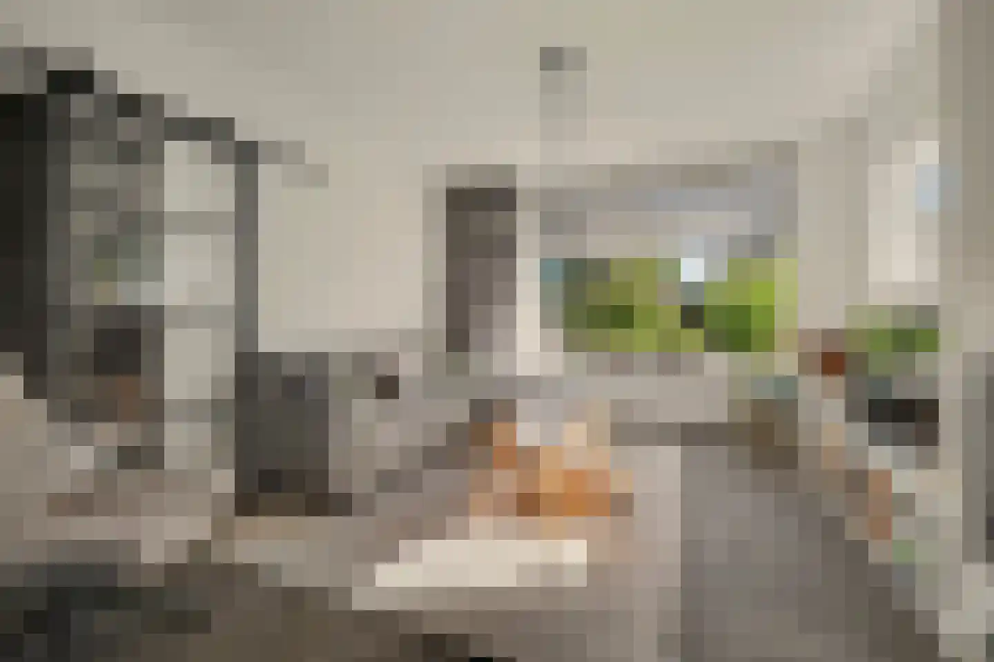 Clauslaan 5 Vlijmen thumbnail 5