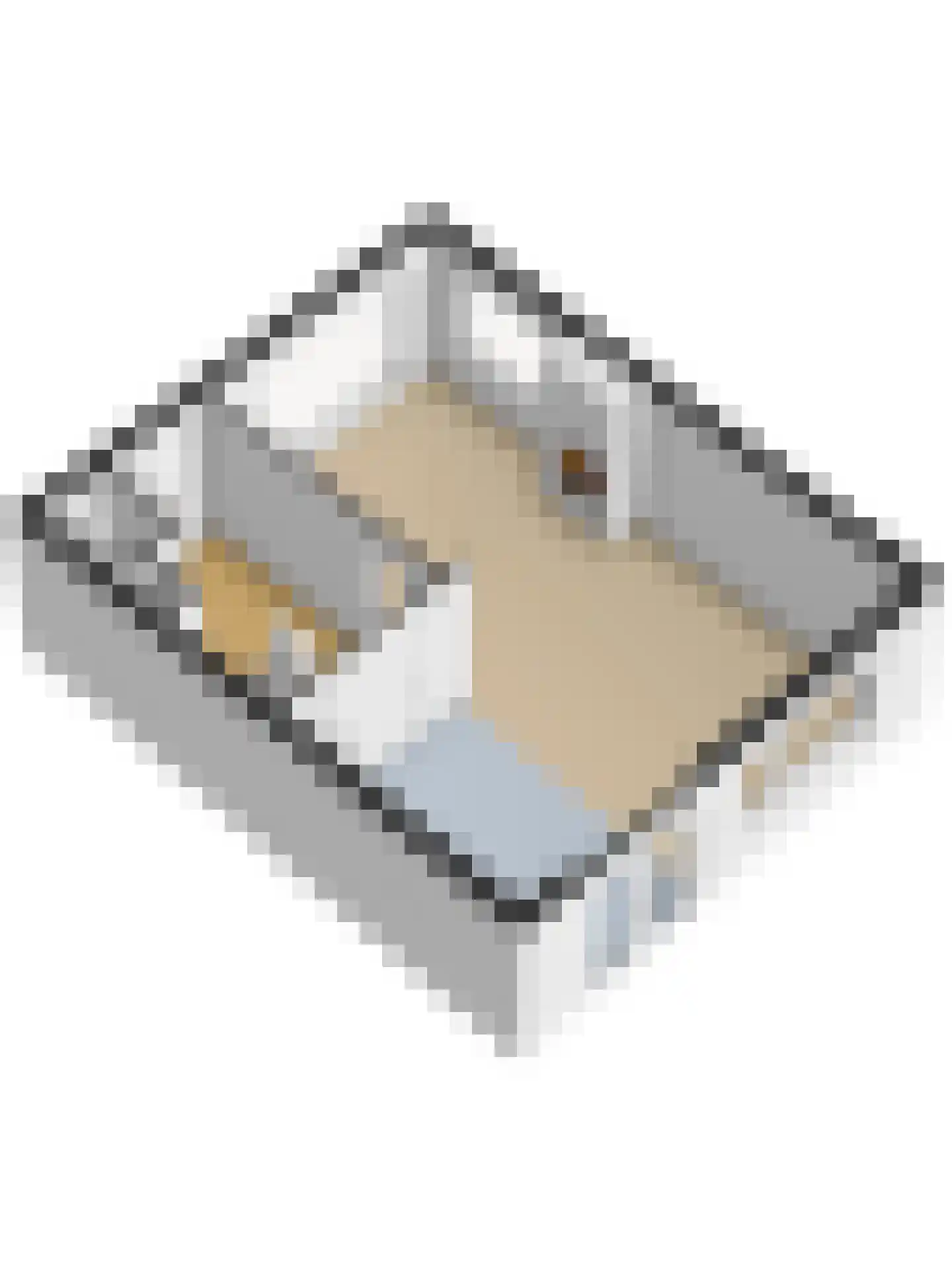 Clauslaan 5 Vlijmen thumbnail 50