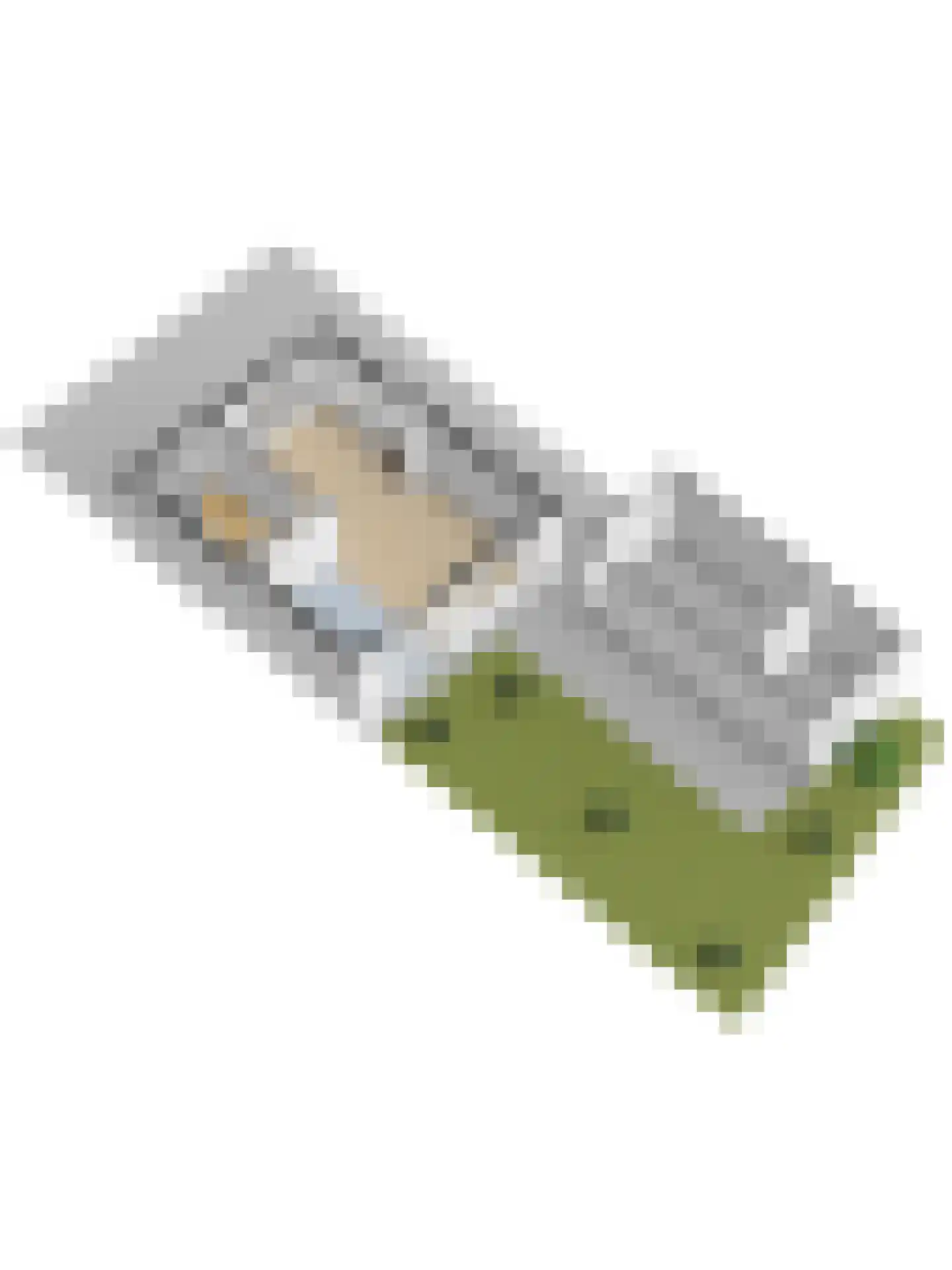 Clauslaan 5 Vlijmen thumbnail 53