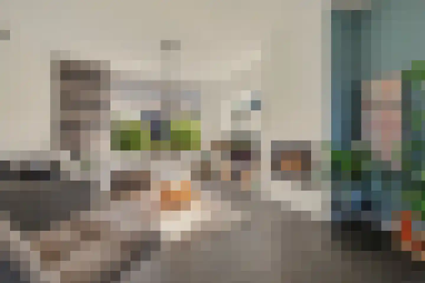 Clauslaan 5 Vlijmen thumbnail 6