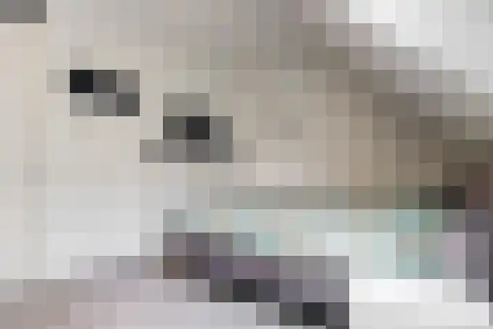 Clausplein 6 Nieuwkoop thumbnail 16
