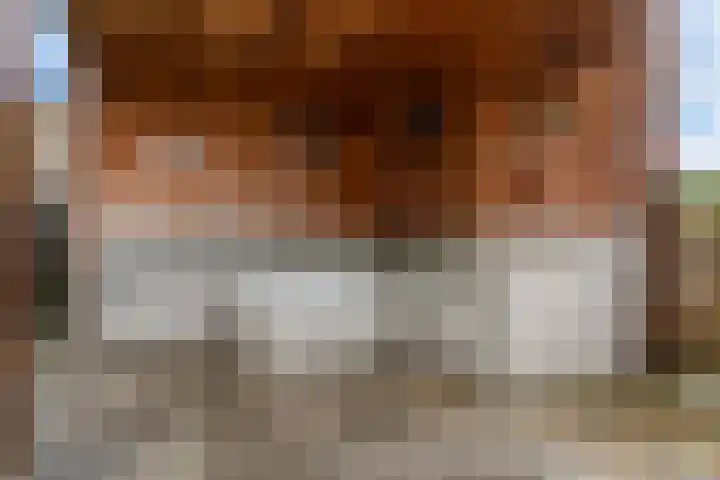 Clausplein 6 Nieuwkoop thumbnail 34