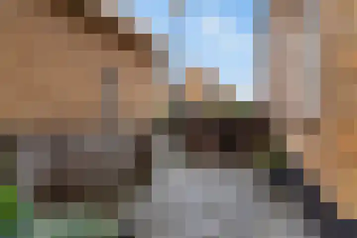 Clausplein 6 Nieuwkoop thumbnail 39