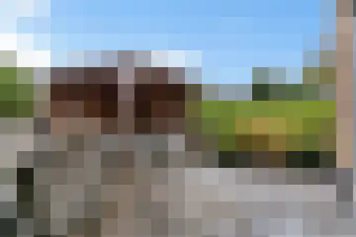 Clausplein 6 Nieuwkoop thumbnail 4