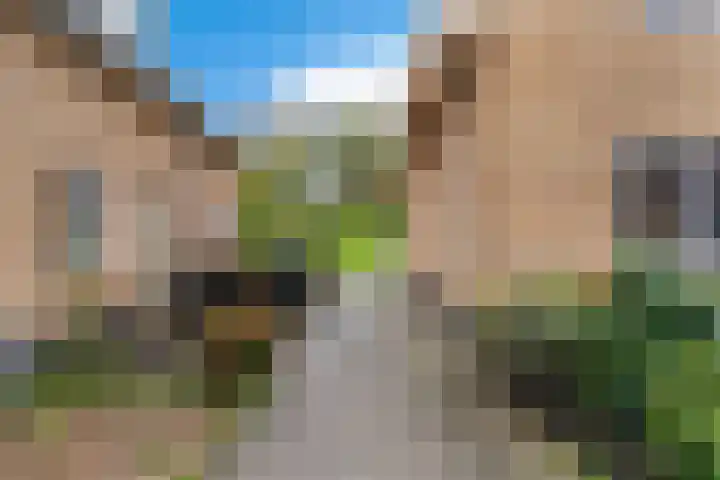 Clausplein 6 Nieuwkoop thumbnail 40