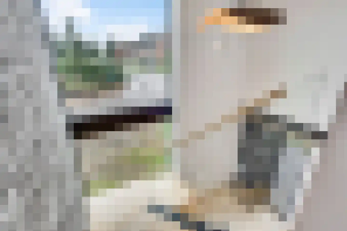 Clausstraat 1 Nederweert thumbnail 18