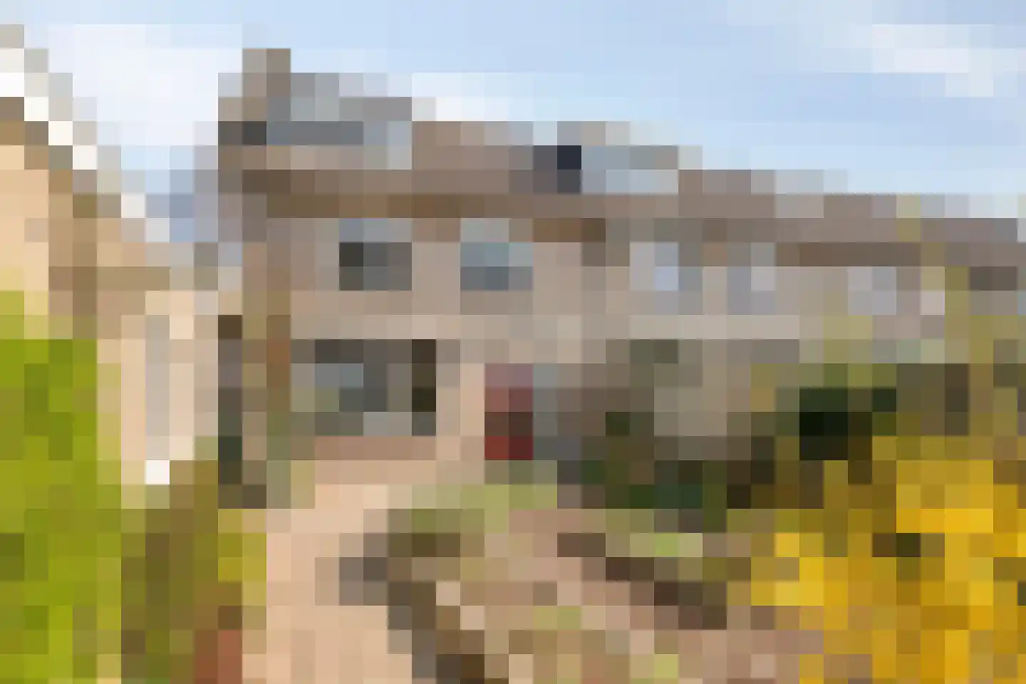 Clausstraat 15 Sint-Oedenrode thumbnail 44