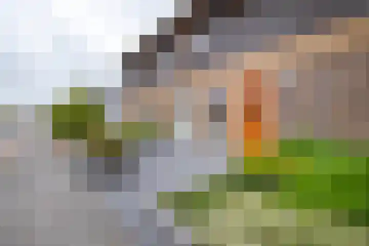 Clausstraat 2 e Groningen thumbnail 5