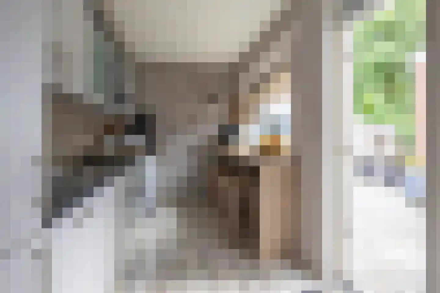 Clausstraat 28 Groningen thumbnail 19