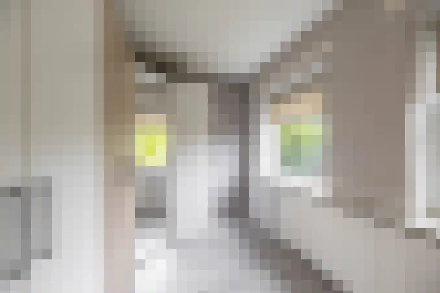 Clausstraat 28 Groningen thumbnail 27