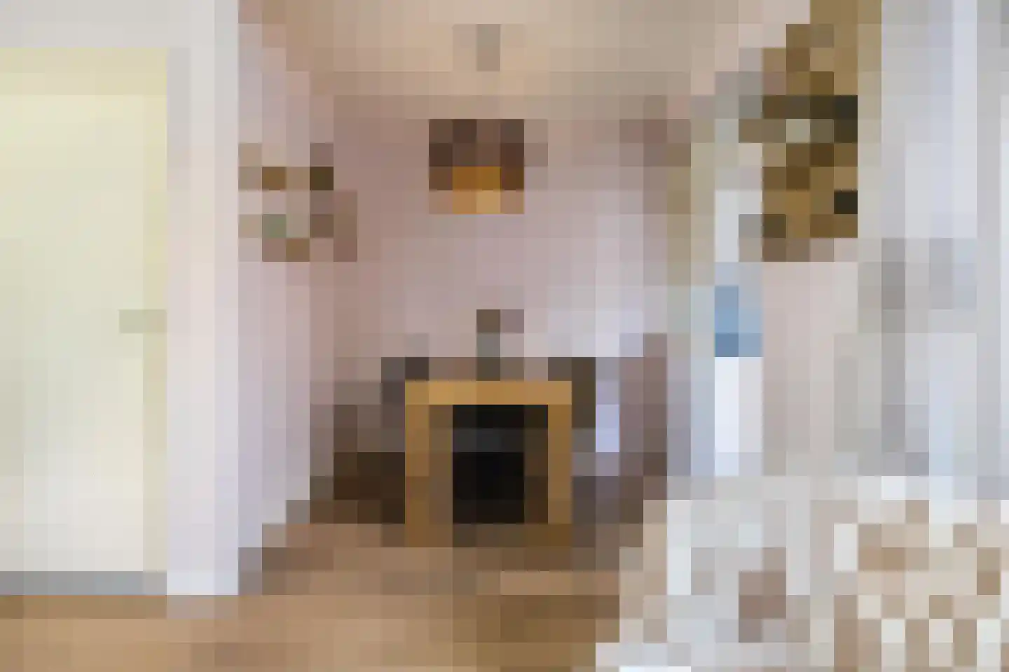 Clausstraat 29 Groningen thumbnail 14