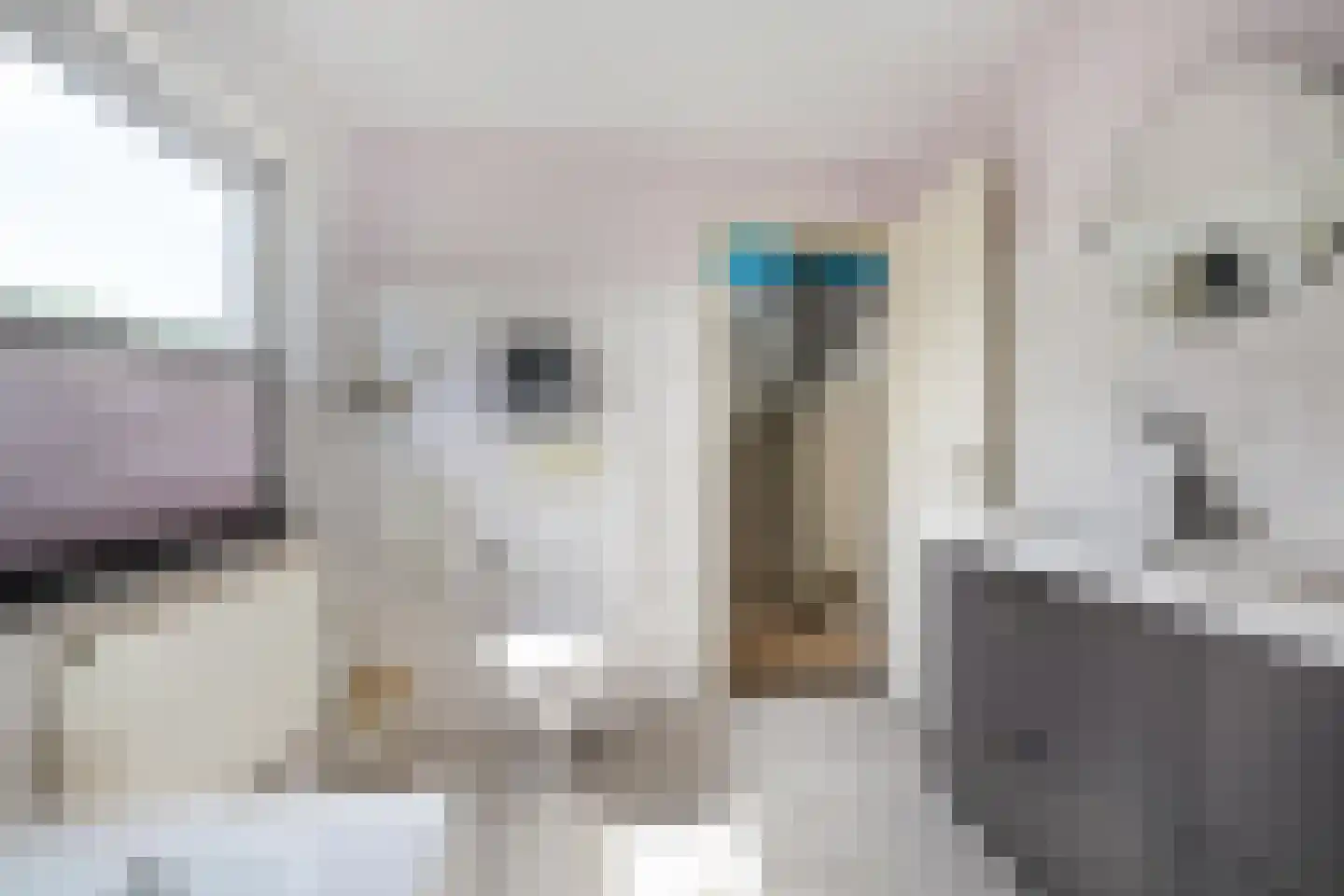 Clausstraat 29 Groningen thumbnail 29