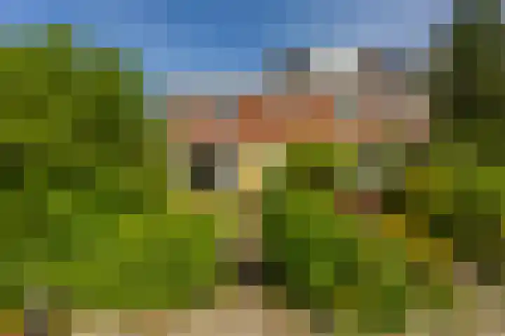Clausstraat 31 Groningen thumbnail 10