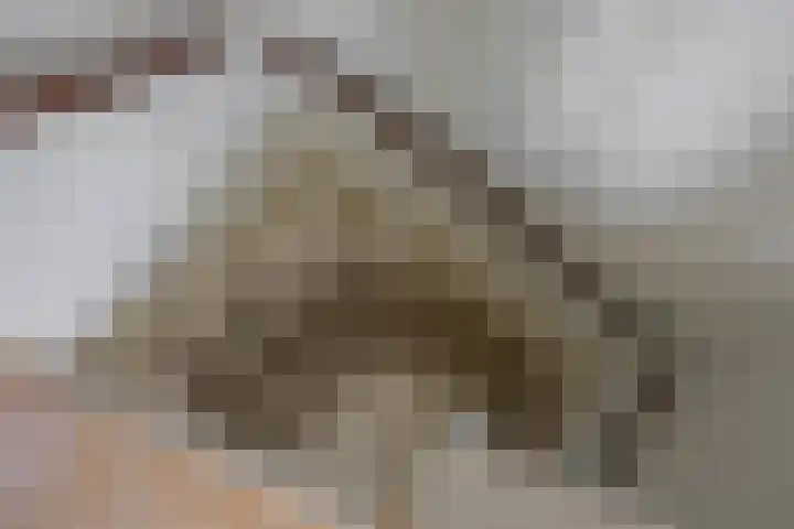 Clausstraat 31 Groningen thumbnail 27