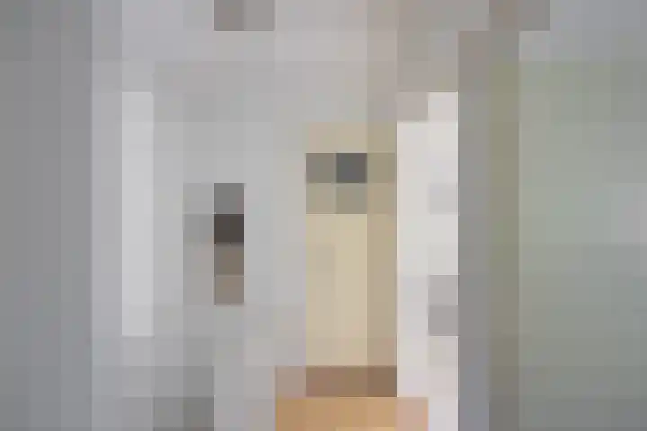 Clausstraat 31 Groningen thumbnail 30