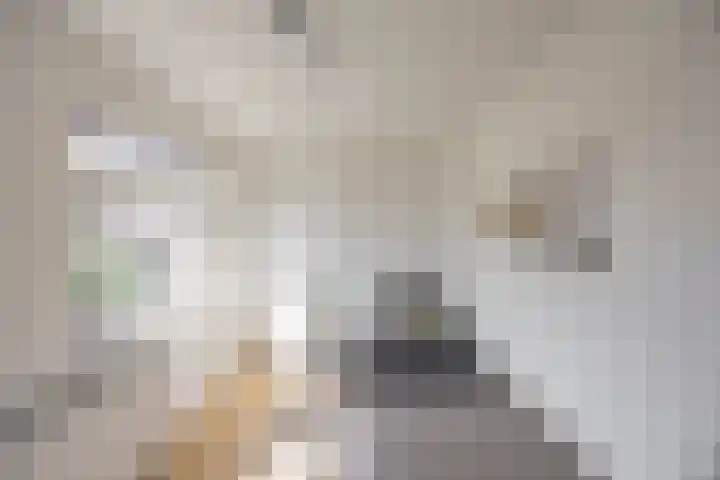 Clausstraat 31 Groningen thumbnail 33