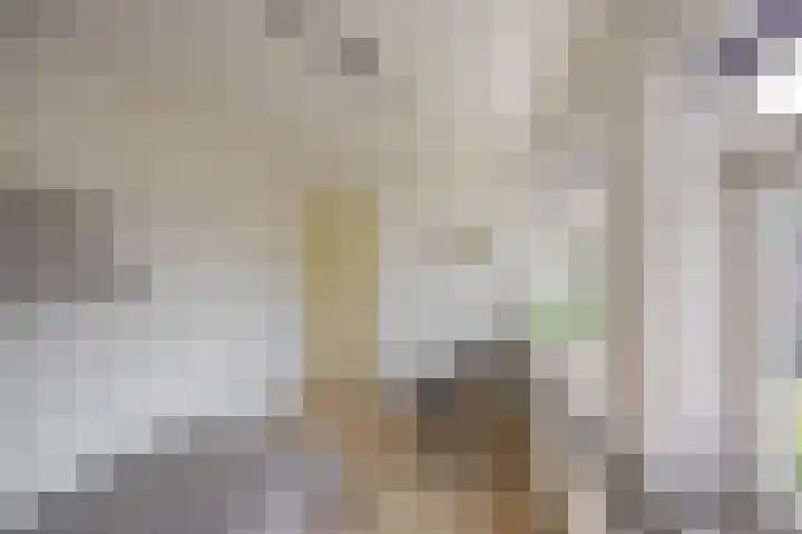 Clausstraat 31 Groningen thumbnail 34