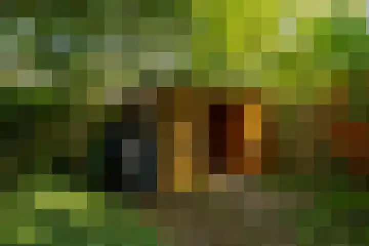 Clausstraat 31 Groningen thumbnail 39