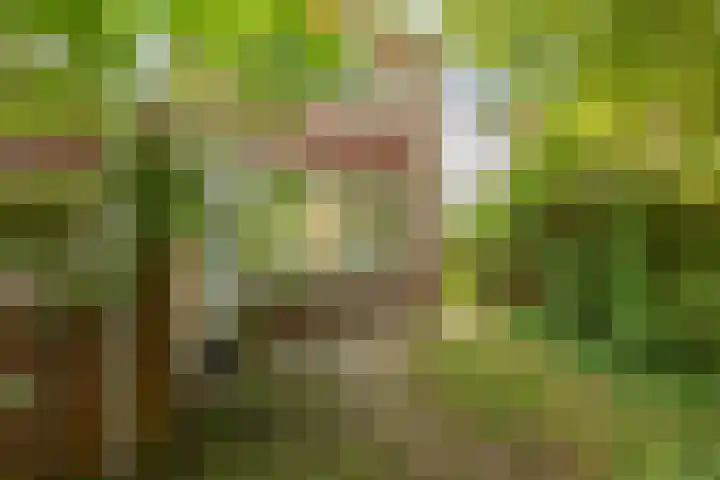 Clausstraat 31 Groningen thumbnail 40