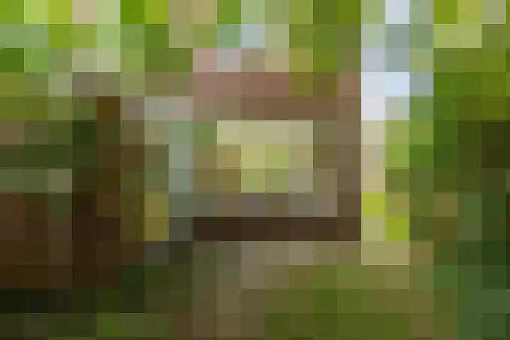 Clausstraat 31 Groningen thumbnail 41