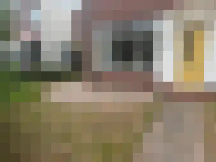 Clausstraat 31 Groningen thumbnail 44