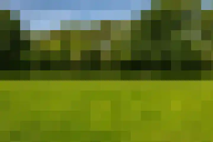 Clausstraat 31 Groningen thumbnail 7