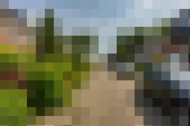 Clausstraat 31 Groningen thumbnail 9