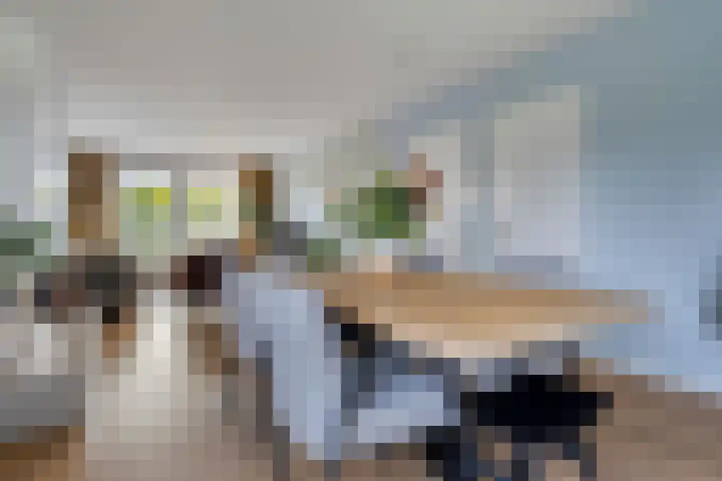 Clausstraat 4 Hulst thumbnail 15